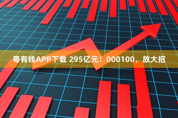粤有钱APP下载 295亿元！000100，放大招