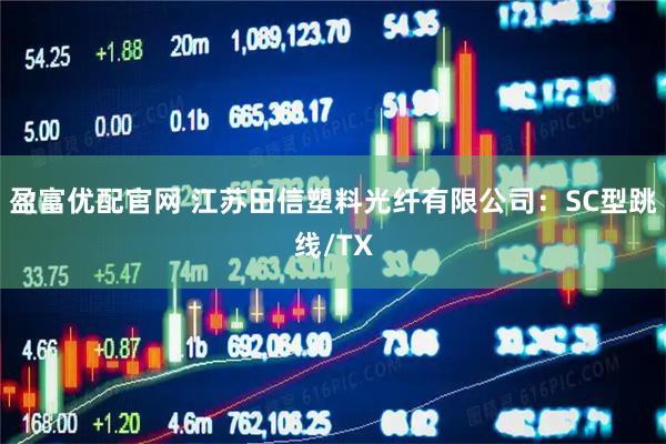 盈富优配官网 江苏田信塑料光纤有限公司：SC型跳线/TX