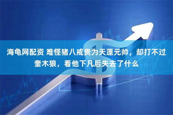 海龟网配资 难怪猪八戒贵为天蓬元帅，却打不过奎木狼，看他下凡后失去了什么