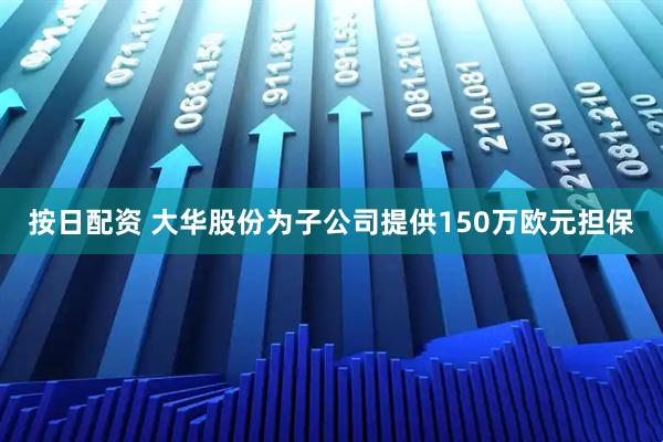 按日配资 大华股份为子公司提供150万欧元担保