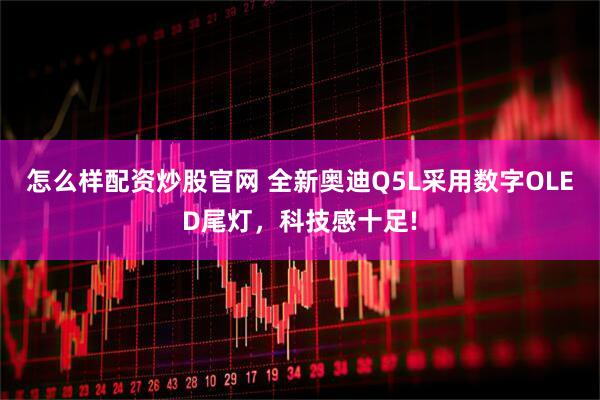 怎么样配资炒股官网 全新奥迪Q5L采用数字OLED尾灯，科技感十足!