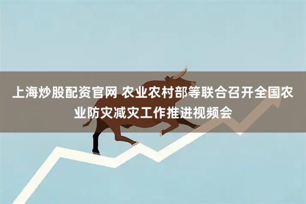 上海炒股配资官网 农业农村部等联合召开全国农业防灾减灾工作推进视频会