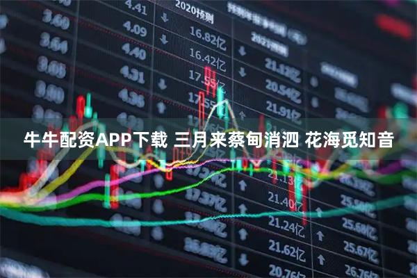 牛牛配资APP下载 三月来蔡甸消泗 花海觅知音